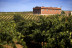 Escapada con Desayuno y Visita a Bodega en Hotel Monasterio Rocamador (Almendral, Badajoz)