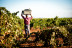 Escapada con Desayuno y Visita a Bodega en Hotel Monasterio Rocamador (Almendral, Badajoz)