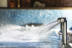 Circuito Spa y Desayuno en Sallés Hotel Marina Portals 4* (Calvià - Portals Nous, Mallorca)
