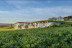 Escapada con Desayuno en Hotel Panadeiramar y Visita a Bodega Granbazán con Cata de Vinos (Pontevedra)