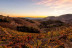 Wine & Tapas: Cata de Vinos con Tapas para dos en Bodega Buil & Giné (Tarragona)