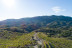 Wine & Tapas: Cata de Vinos con Tapas para dos en Bodega Buil & Giné (Tarragona)