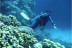Bautismo de Buceo (Marina del Este)