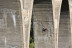 Puenting con Vídeo: Salto de 50 metros (Alicante)