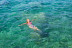 Paseo en Catamarán y Comida con Paradas para Nadar en Cala Saona e Illetas (Formentera)