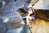 Escalada en Roca (Tenerife)