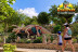 Entrada a DinoPark Algar (Alicante)