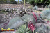Entrada a DinoPark Algar (Alicante)