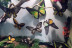Entradas a InsectPark (San Lorenzo de El Escorial, Madrid)