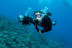 Pack Por Tierra, Mar y Aire
