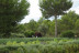 Entrada y Visita Guiada a Ecoherbes: Jardí Botanic (L'Ampolla, Tarragona)