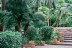 Jardines de Alfabia: Visita a la Casa, Jardines y al Huerto (Bunyola, Mallorca)