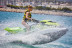 Jetski: Moto de Agua (Mallorca)