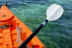 Alquiler de Kayak (Puerto de Addaia, Menorca)