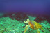 Ruta en Kayak con Reportaje Fotográfico, Refrigerio y Snorkel con Cabo de Gata Activo (Níjar, Almería)
