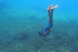 Excursión en Kayak con Snorkel (Jávea / Benitachell / Moraira, Alicante)