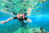 Excursión Guiada en Kayak y Snorkel (Palm-Mar, Tenerife)