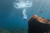 Excursión Guiada en Kayak y Snorkel (Palm-Mar, Tenerife)