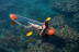 Ruta en Kayak Transparente (San José, Almería)