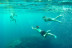 Kayak y Snorkel con Fotos (Ibiza)
