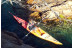 Kayak y Snorkel en la Costa Brava (Girona)