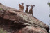 Entrada a Parque de Fauna La Maleza (Albarracín, Teruel)