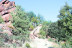 Entrada a La Maleza Parque de Fauna (Teruel)