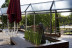 Escapada con Cena en Hotel La Perla d'Olot 3* (Olot, Girona)
