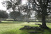 Escapada con Masaje en Hotel Rural La Trocha de Hoyorredondo 4* (Hoyorredondo, Ávila)