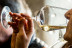 Picnic entre Viñas: Visita, Degustación y Comida para dos en Celler La Vinyeta (Girona)