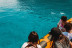 Excursión en Lancha con Avistamiento de Delfines (Can Picafort, Mallorca)