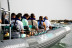 Tour en Las Marismas con Lancha Rápida (Ayamonte, Huelva)