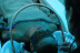 Ritual Desconexión: Head Spa y Circuito Spa en Le Méridien Ra Beach Hotel Spa 5* (El Vendrell, Tarragona)