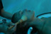 Ritual Desconexión: Head Spa y Circuito Spa en Le Méridien Ra Beach Hotel Spa 5* (El Vendrell, Tarragona)