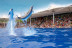 Entrada a Marineland Mallorca (Costa d’en Blanes, Mallorca)