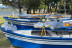 Escapada en Hotel Playa Las Sinas con Mariscada de 1 Metro y Albariquiño para dos (Vilanova de Arousa, Pontevedra)