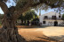 Visita Estándar: Visita Guiada a Bodega Mas de Rander y Viñas con Cata de 4 Vinos (Torreblanca, Castellón)