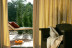 Escapada con Circuito Spa en Suite Junior de Mas Salvi Country Boutique Hotel 4* (Pals, Girona)