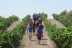 Visita Guiada y Cata de Vino en Celler Mas Vicenç (Cabra del Camp, Tarragona)