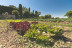 Escapada en Habitación o Cabaña con Desayuno en Masia Rural Can Caponet (Lliçà d'Amunt, Barcelona)