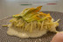 Menú Degustación de Pasta para dos en Restaurante Anema e Core (Sevilla)