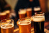Cata de Cerveza Milana con Maridaje y Comida (Valladolid)