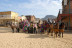 Entrada a Oasys MiniHollywood con Buffet (Tabernas, Almería)