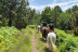 Paseo a Caballo para dos (Icod de los Vinos, Tenerife)