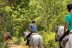 Paseo a Caballo para dos (Icod de los Vinos, Tenerife)