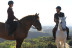 Paseo a Caballo (El Salobre, Gran Canaria)
