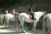Ruta a Caballo (Llavorsí, Lleida)