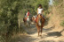 Ruta a Caballo (Llavorsí, Lleida)
