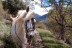 Ruta a Caballo (Llavorsí, Lleida)