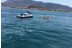 Excursión en Moto de Agua (Dénia, Alicante)